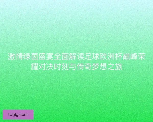 激情绿茵盛宴全面解读足球欧洲杯巅峰荣耀对决时刻与传奇梦想之旅