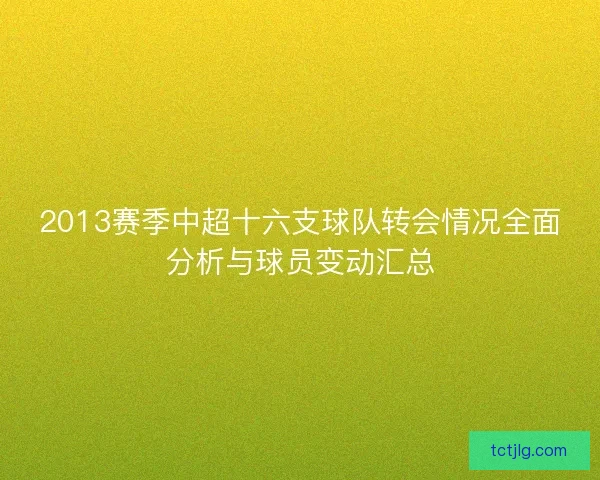 2013赛季中超十六支球队转会情况全面分析与球员变动汇总